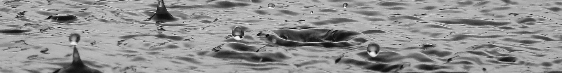 Catégorie : <span>Sandra Vimont</span>