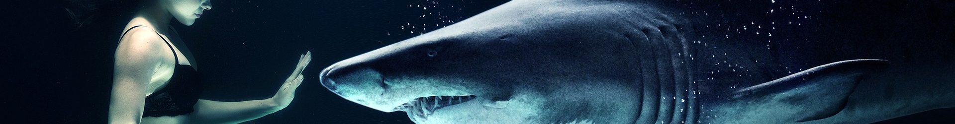 Actions pour protéger la vie privée avec Sylvie Bergeron