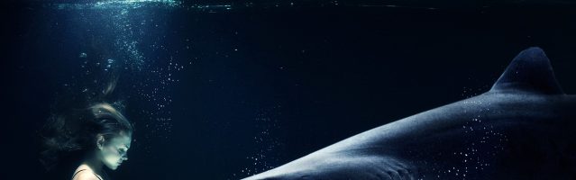 Actions pour protéger la vie privée avec Sylvie Bergeron