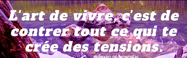 Plus tu es conscient, plus tu maximalises ton plan de vie (Bernard de Montréal)